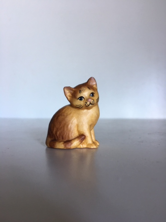 Katzenjunge sitzend