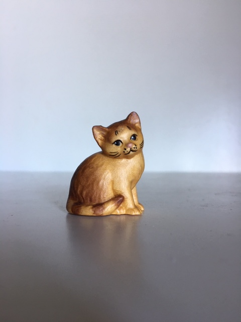 Katzenjunge sitzend