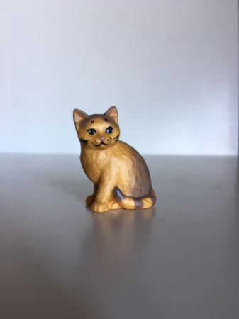 Katzenjunge sitzend