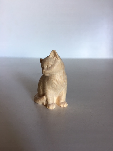 Katzenjunge sitzend