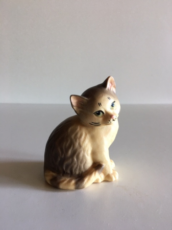 Katze sitzend
