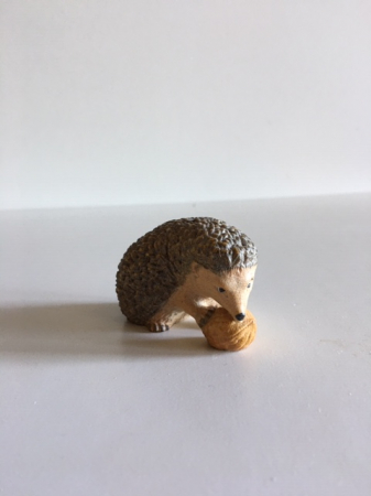 Igel