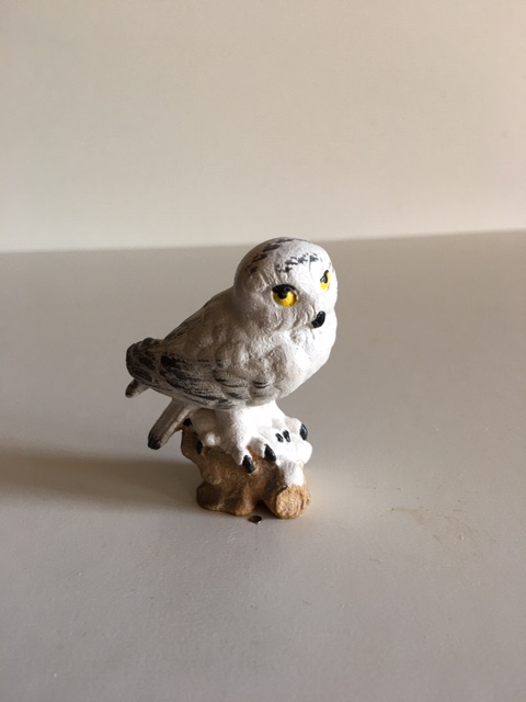 Schneeeule