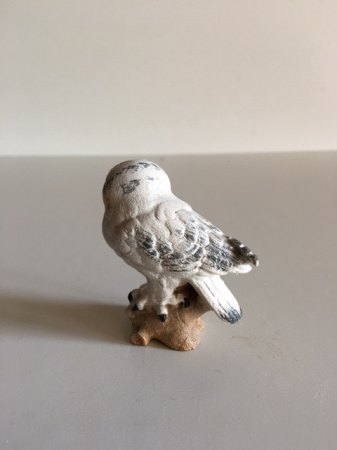 Schneeeule