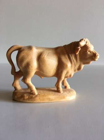 Stier