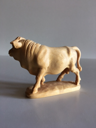 Stier